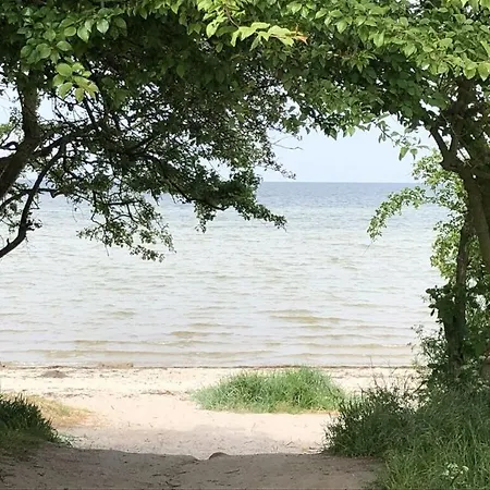 Apartment Vacation 